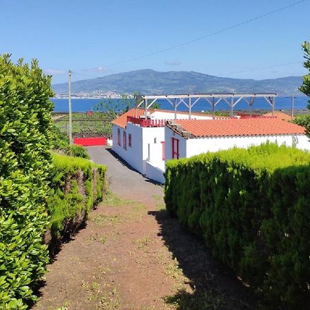 Casa Da Ilha Villa Madalena  Exteriör bild