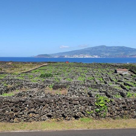 Casa Da Ilha Villa Madalena  Exteriör bild