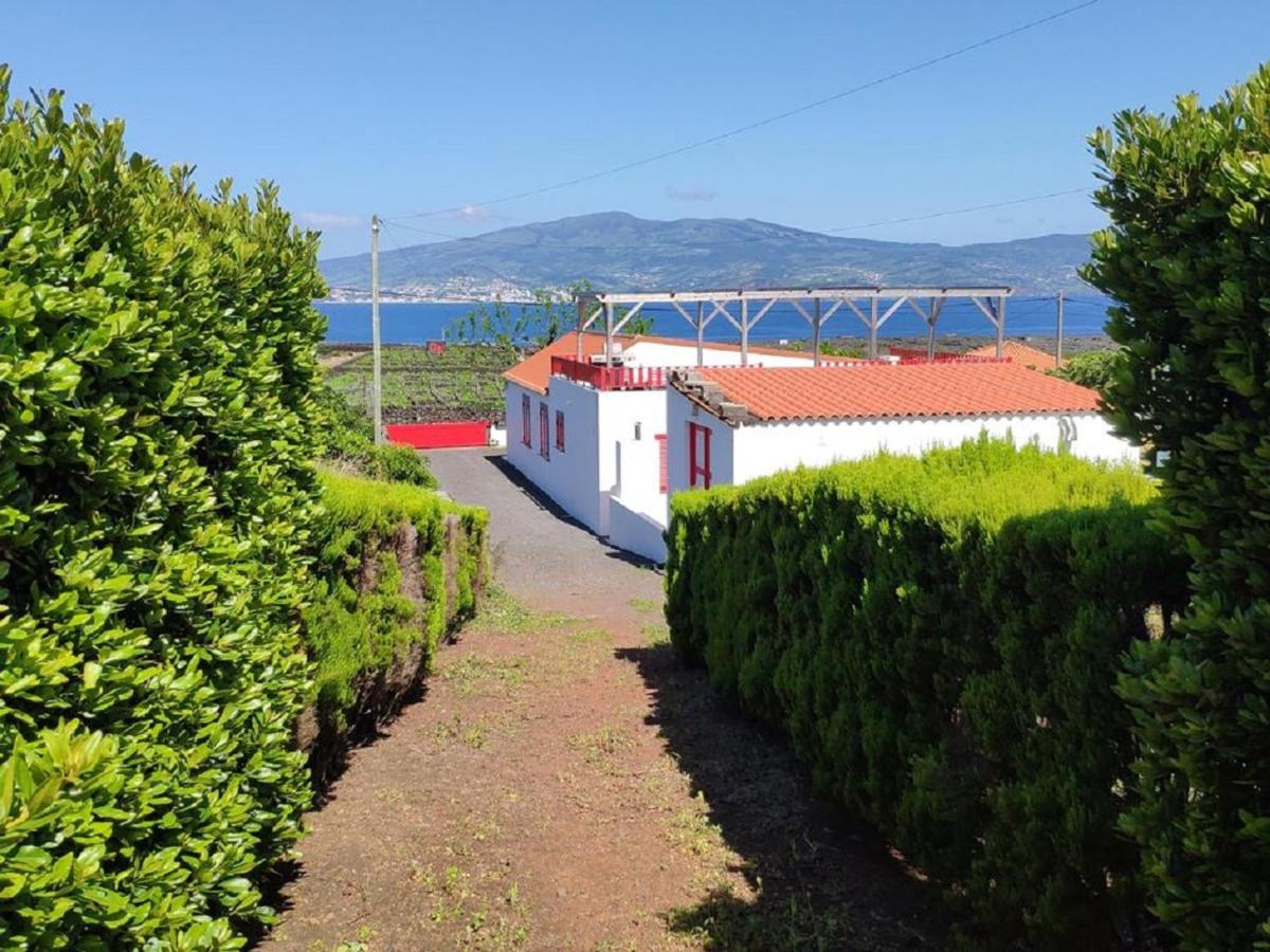 Casa Da Ilha Villa Madalena  Exteriör bild