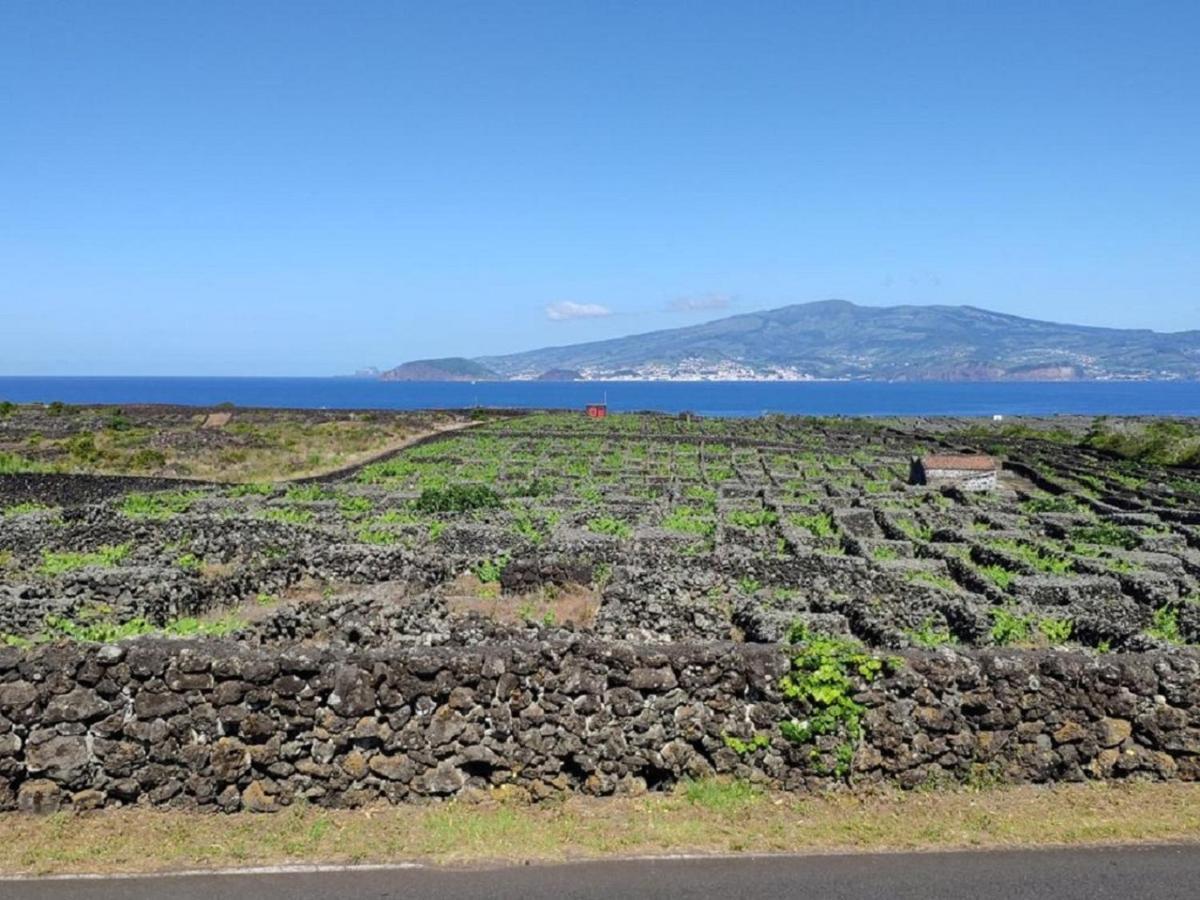 Casa Da Ilha Villa Madalena  Exteriör bild