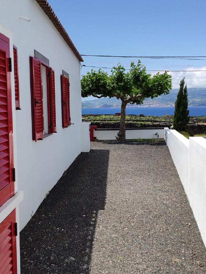 Casa Da Ilha Villa Madalena  Exteriör bild